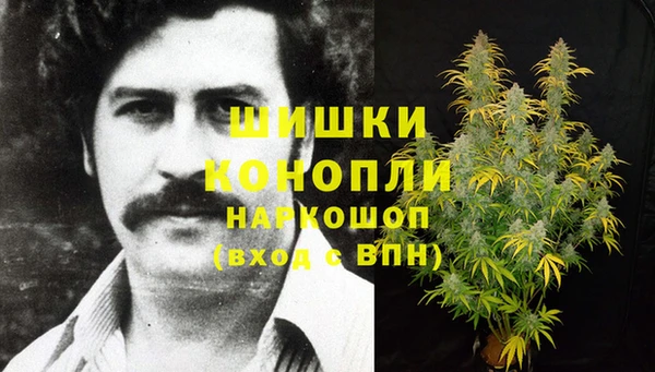 героин Алексин
