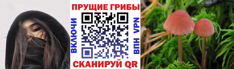 МЕГА маркетплейс  купить   Слюдянка  Галлюциногенные грибы Magic Shrooms 